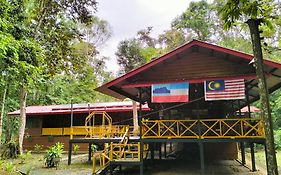 Borneo Jungle Adventure