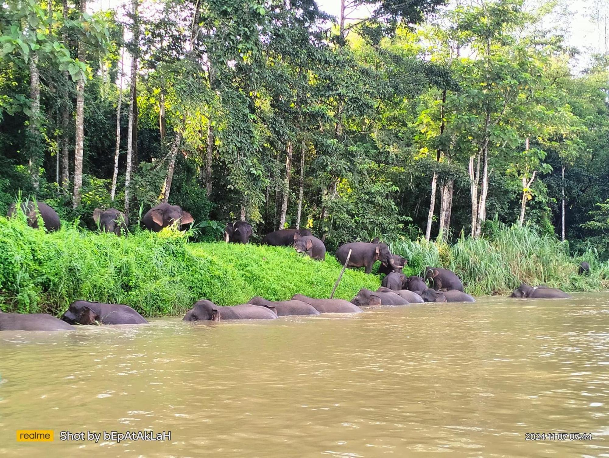 Borneo Jungle Adventure Villa Kinabatangan Exterior photo
