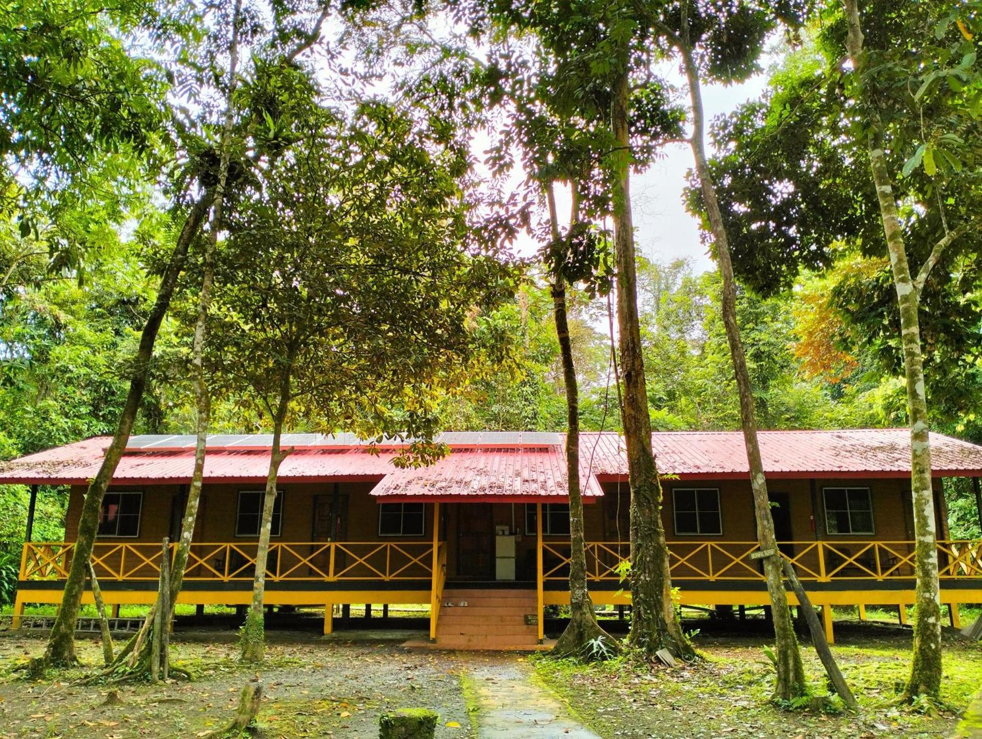 Borneo Jungle Adventure Villa Kinabatangan Exterior photo