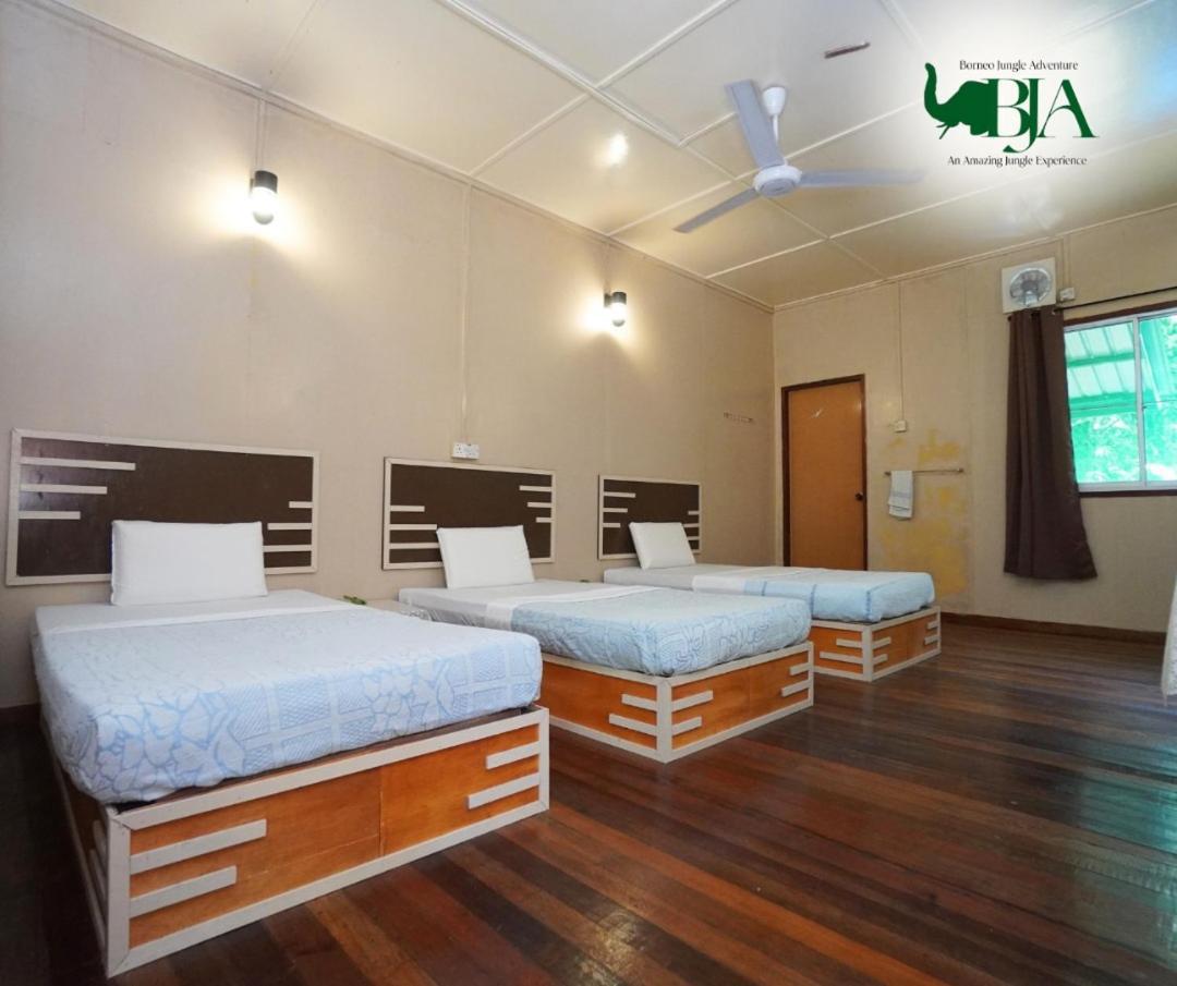 Borneo Jungle Adventure Villa Kinabatangan Exterior photo